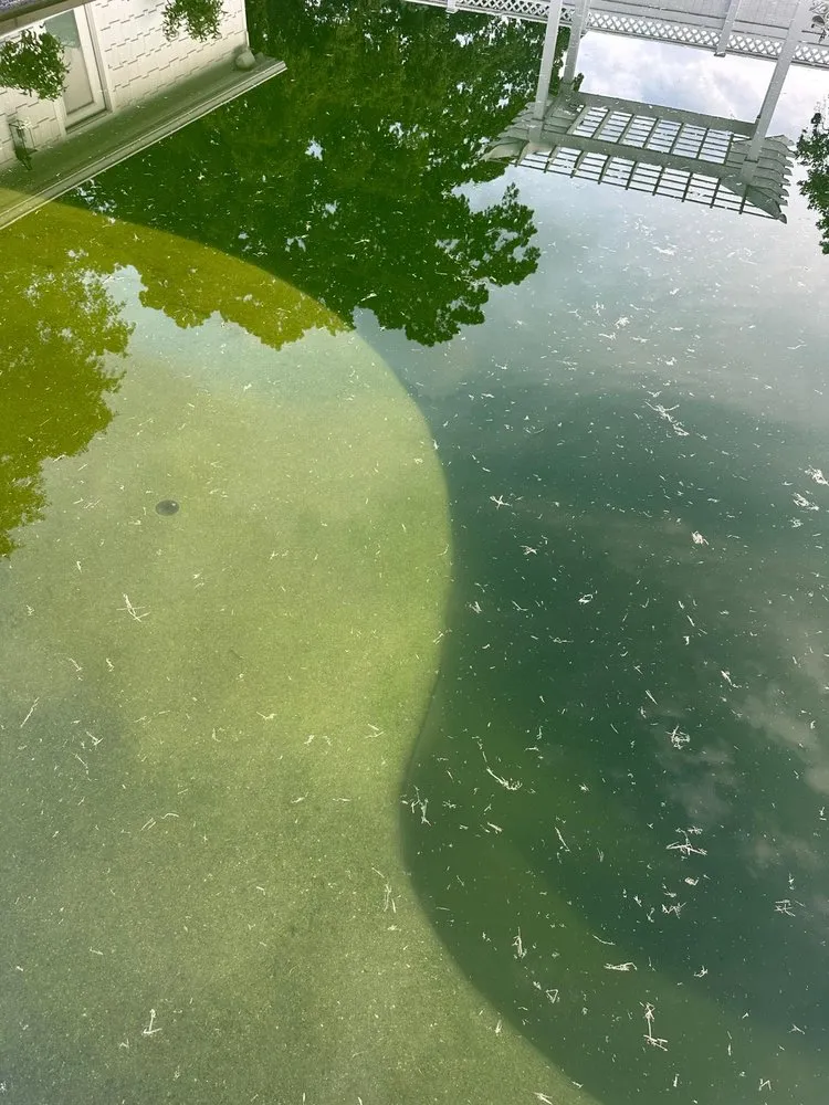 Local lawn care service in Chattanooga, TN by Pool Service Plus