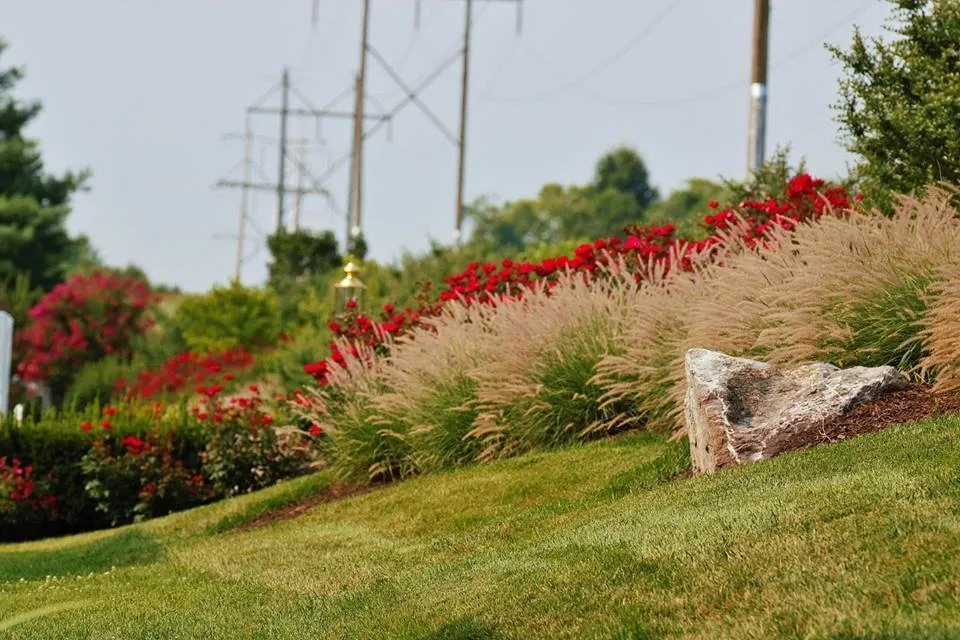 Custom landscape design in Frederick, MD - Poole Landscaping