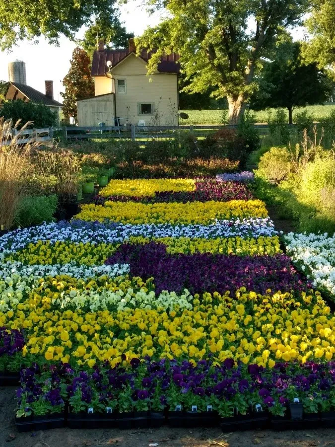 Professional lawn mowing service for residential properties across Frederick, MD - Poole Landscaping