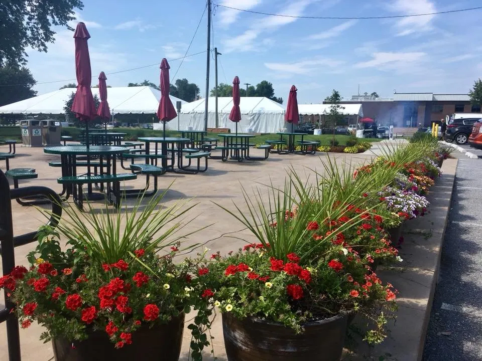 Expert yard maintenance for outdoor upgrades across Frederick, MD - Poole Landscaping