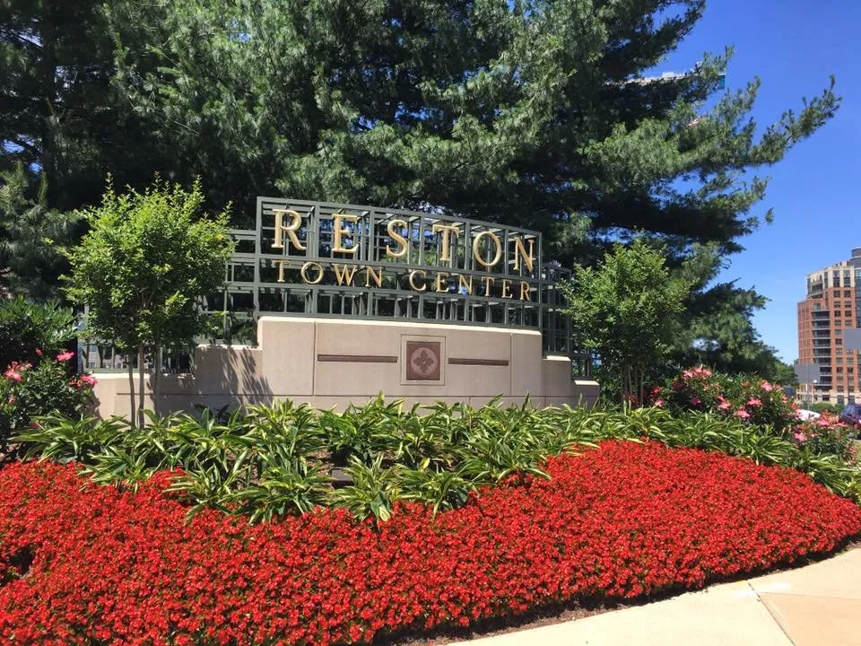 Local yard cleanup service for outdoor upgrades across Frederick, MD - Poole Landscaping