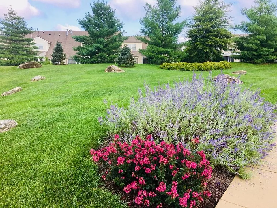 Professional lawn care service near you across Frederick, MD - Poole Landscaping