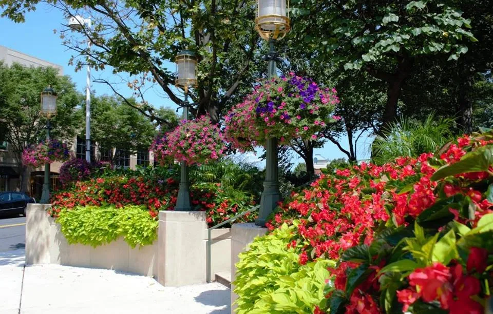 Top-rated garden landscaping in Frederick, MD by Poole Landscaping