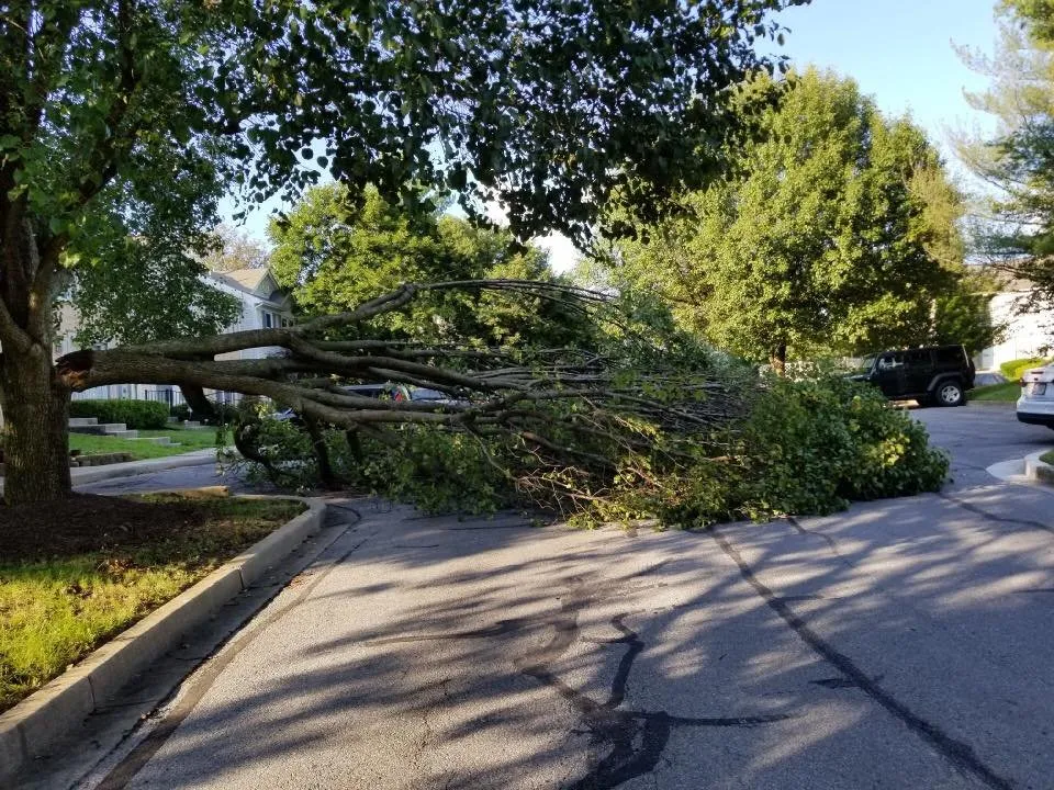 Reliable garden landscaping in Frederick, MD by Poole Landscaping