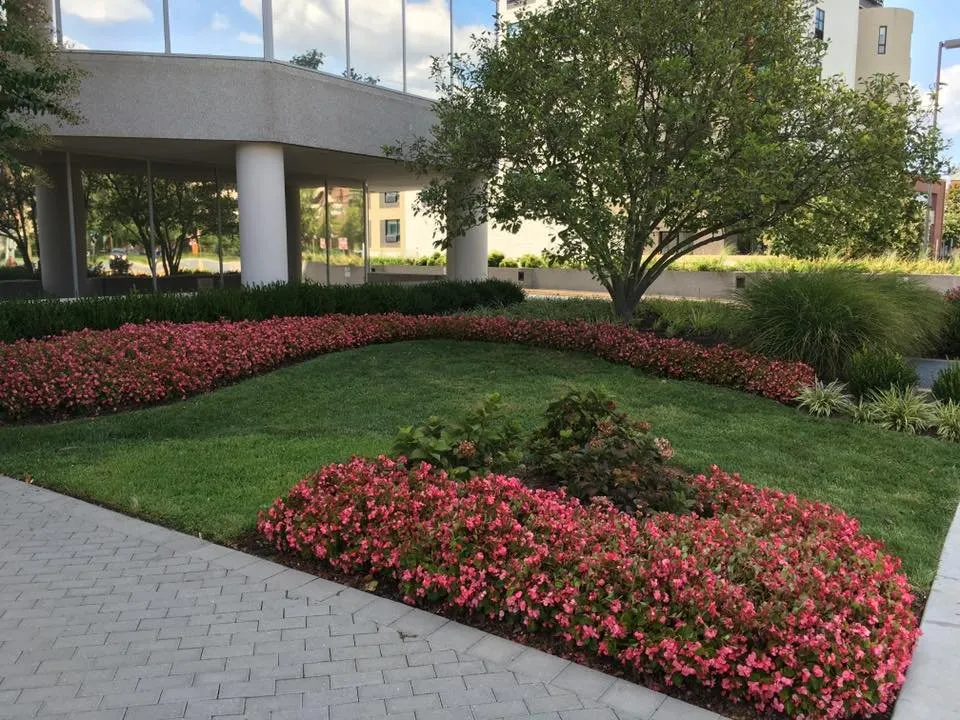 Custom yard maintenance experts serving Frederick, MD - Poole Landscaping