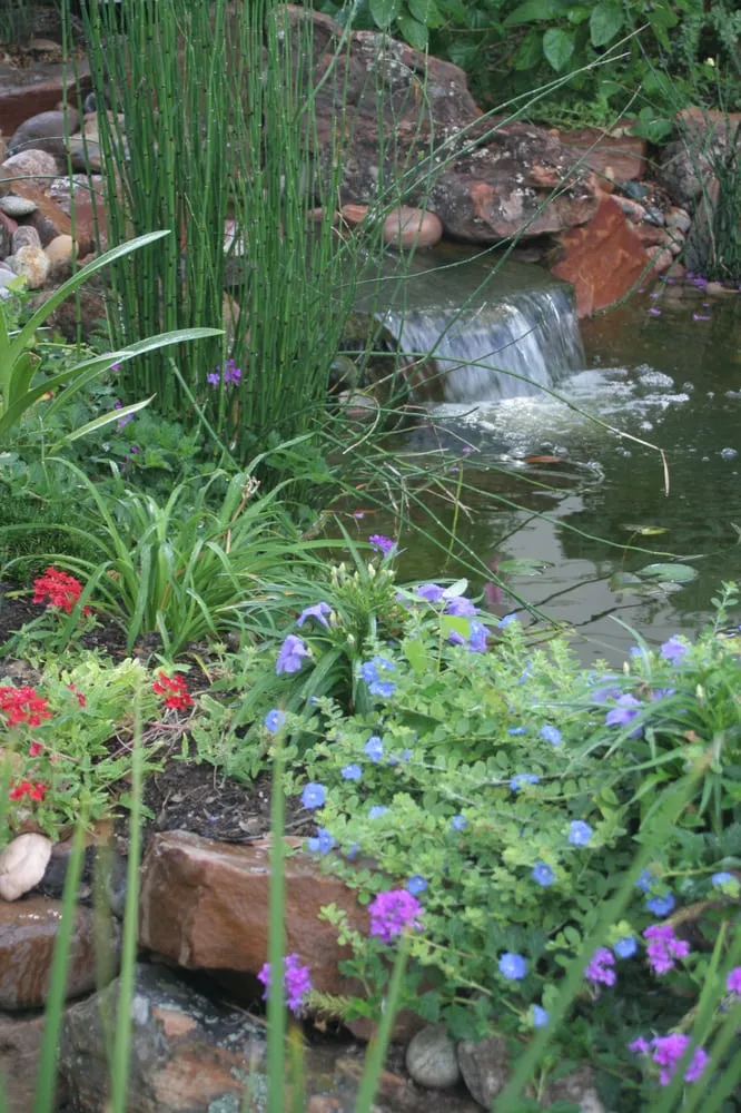 Affordable lawn mowing service near you across Lewisville, TX - Poole's Lawn & Landscape