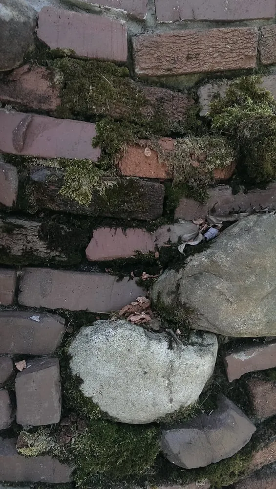 Expert outdoor landscaping in Frederick, MD by Poole's Stone & Garden