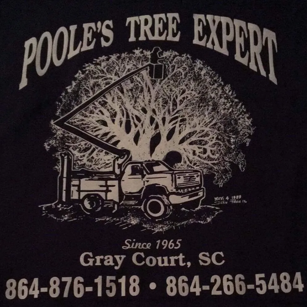 Professional landscape installation in Gray Court, SC - Poole's Tree Experts