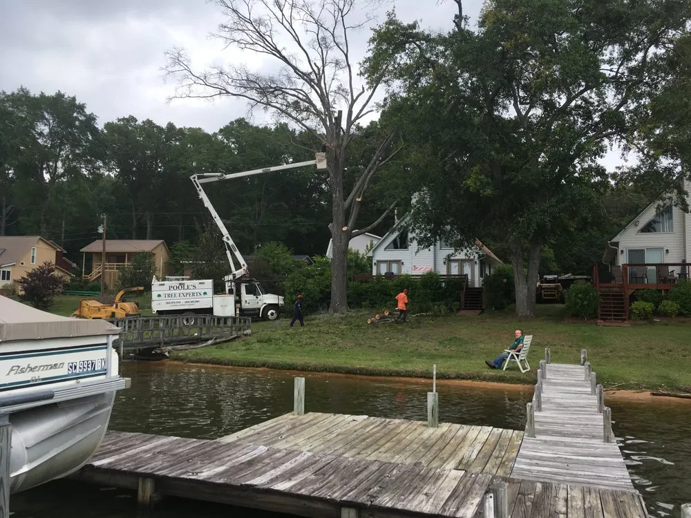 Custom outdoor landscaping for year-round maintenance across Gray Court, SC - Poole's Tree Experts