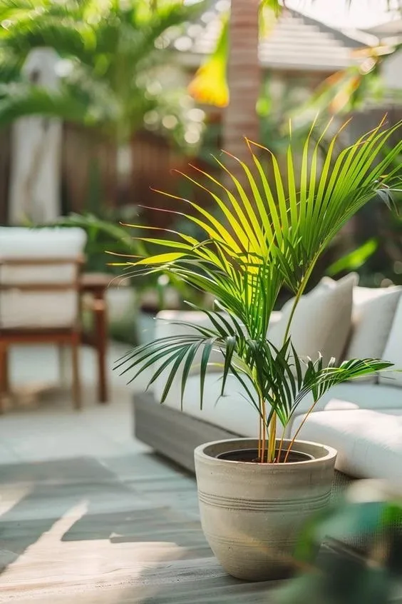 Reliable lawn care service in San Antonio, TX - Pools and Gardens