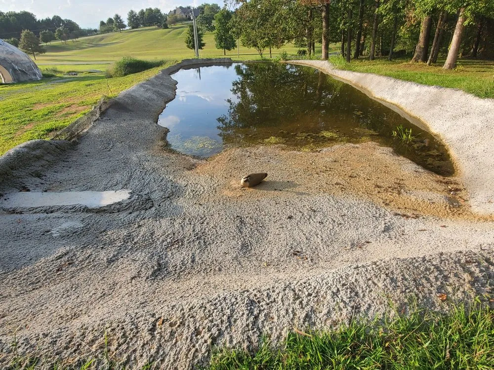 Expert residential landscaping near you across Nashville, TN - Pools By Elio