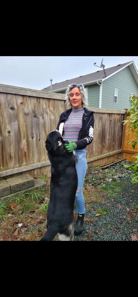 Trusted residential landscaping near you in Oak Harbor, WA by Poop Team 6