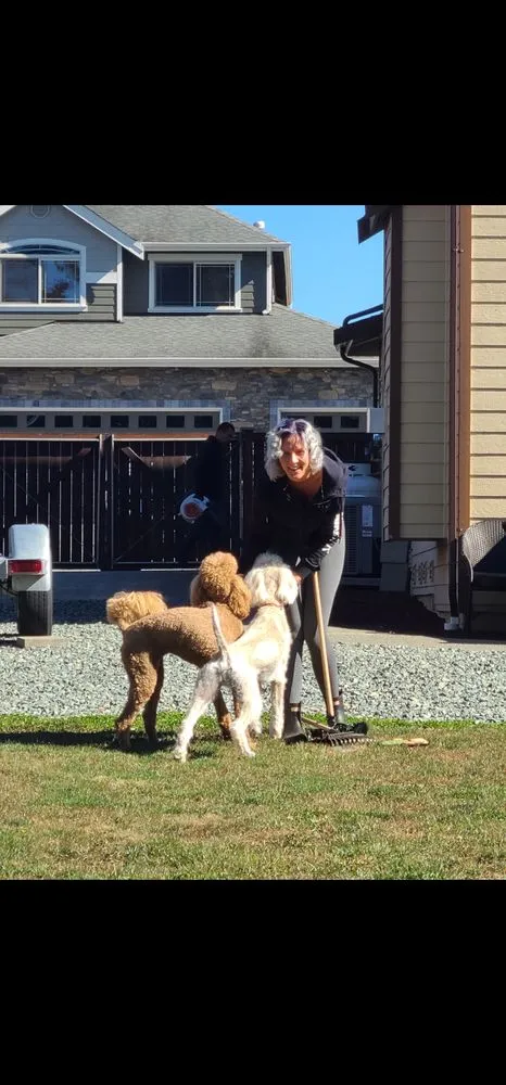 Custom landscape installation for residential properties across Oak Harbor, WA - Poop Team 6