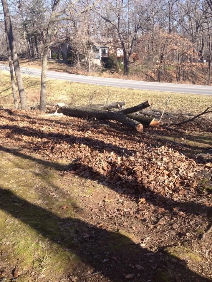 Top-rated yard cleanup service in Pineville, MO by Poor Boys Landscaping