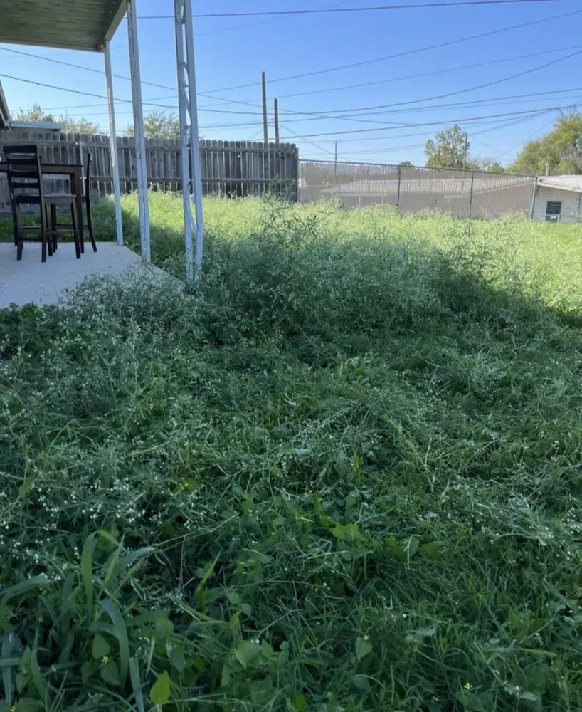 Affordable residential landscaping for outdoor upgrades in Killeen, TX by Poor Boys Lawn Service