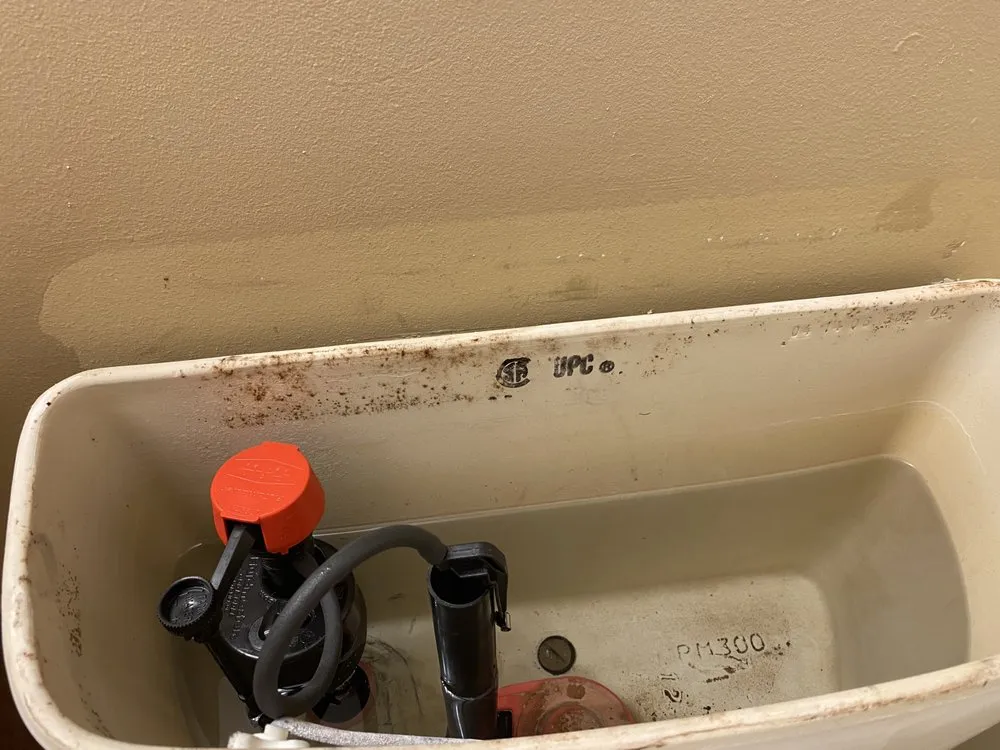 Professional residential landscaping in Clarksville, TN - Poorboyz Services