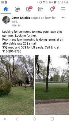 Poorman's lawn care Logo