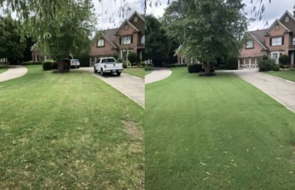Top-rated yard cleanup service experts serving Ardmore, AL - Pop & Sons Lawn Care