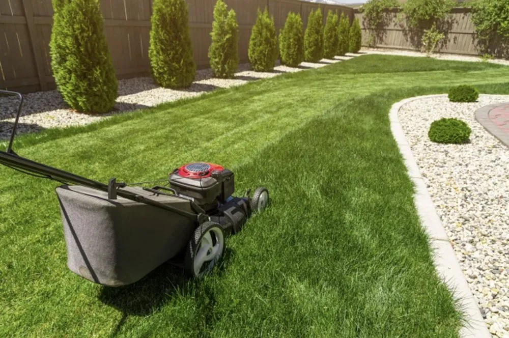 Expert landscaping services for outdoor upgrades in Ardmore, AL by Pop & Sons Lawn Care