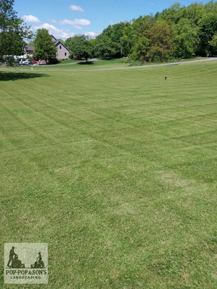 Top-rated residential landscaping experts serving Mill Hall, PA - Pop Pop & Son's Landscaping