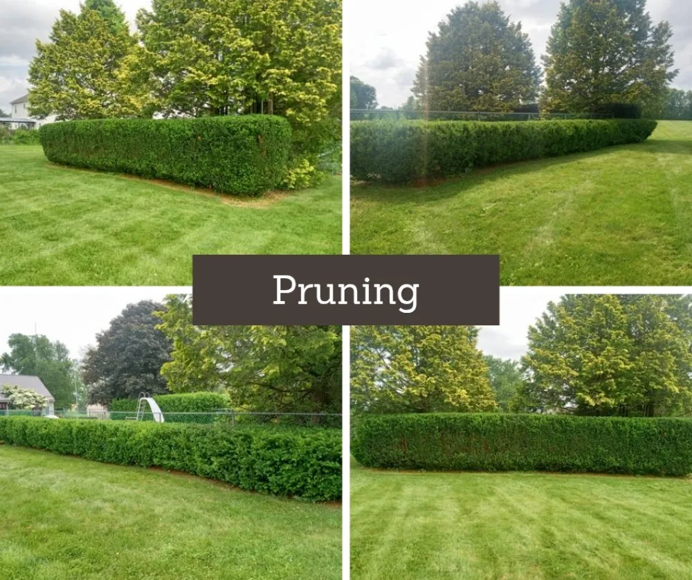 Affordable landscape installation for homes across Mill Hall, PA - Pop Pop & Son's Landscaping