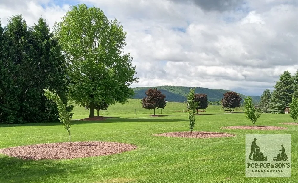 Top-rated landscape installation in Mill Hall, PA - Pop Pop & Son's Landscaping