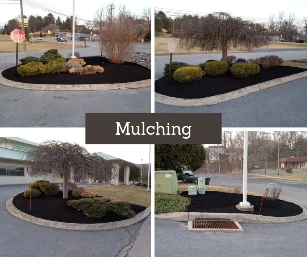 Reliable garden landscaping with custom design across Mill Hall, PA - Pop Pop & Son's Landscaping