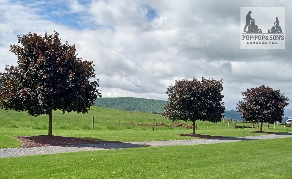 Local residential landscaping in Mill Hall, PA by Pop Pop & Son's Landscaping