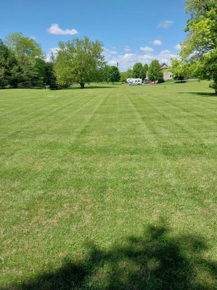 Top-rated residential landscaping for homes across Mill Hall, PA - Pop Pop & Son's Landscaping