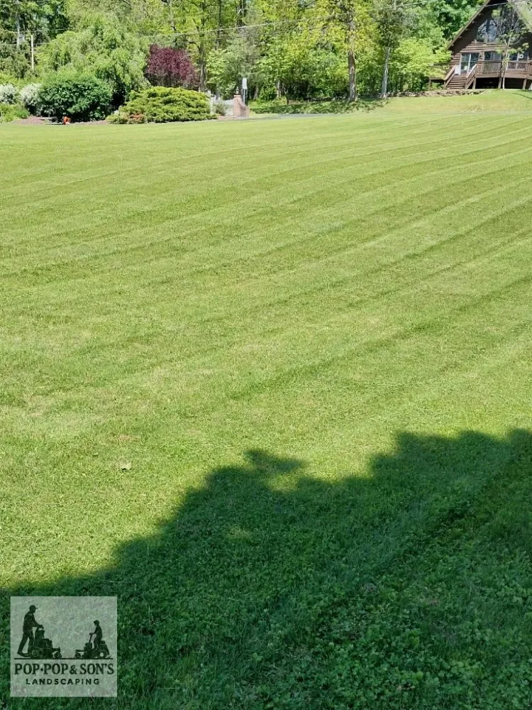 Professional landscape design experts serving Mill Hall, PA - Pop Pop & Son's Landscaping