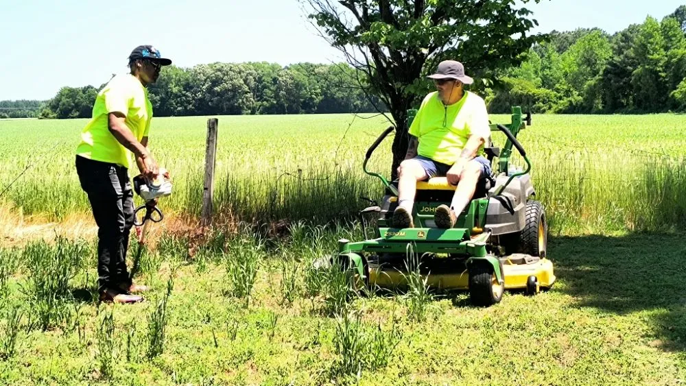 Professional landscape design in La Grange, NC - Pop Pops Lawn Care