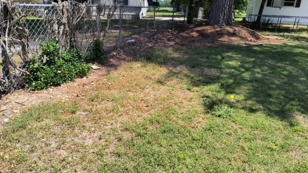 Reliable outdoor landscaping for year-round maintenance across La Grange, NC - Pop Pops Lawn Care