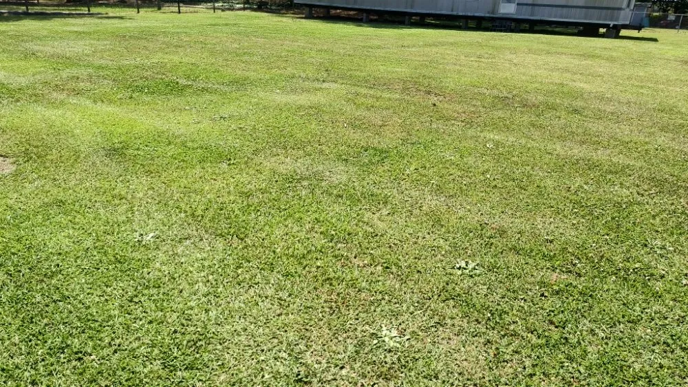 Local lawn care service experts serving La Grange, NC - Pop Pops Lawn Care