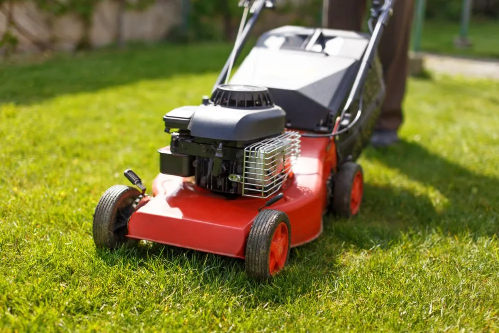 Trusted yard maintenance for beautiful yards across La Grange, NC - Pop Pops Lawn Care