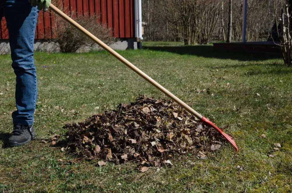 Custom residential landscaping in La Grange, NC by Pop Pops Lawn Care