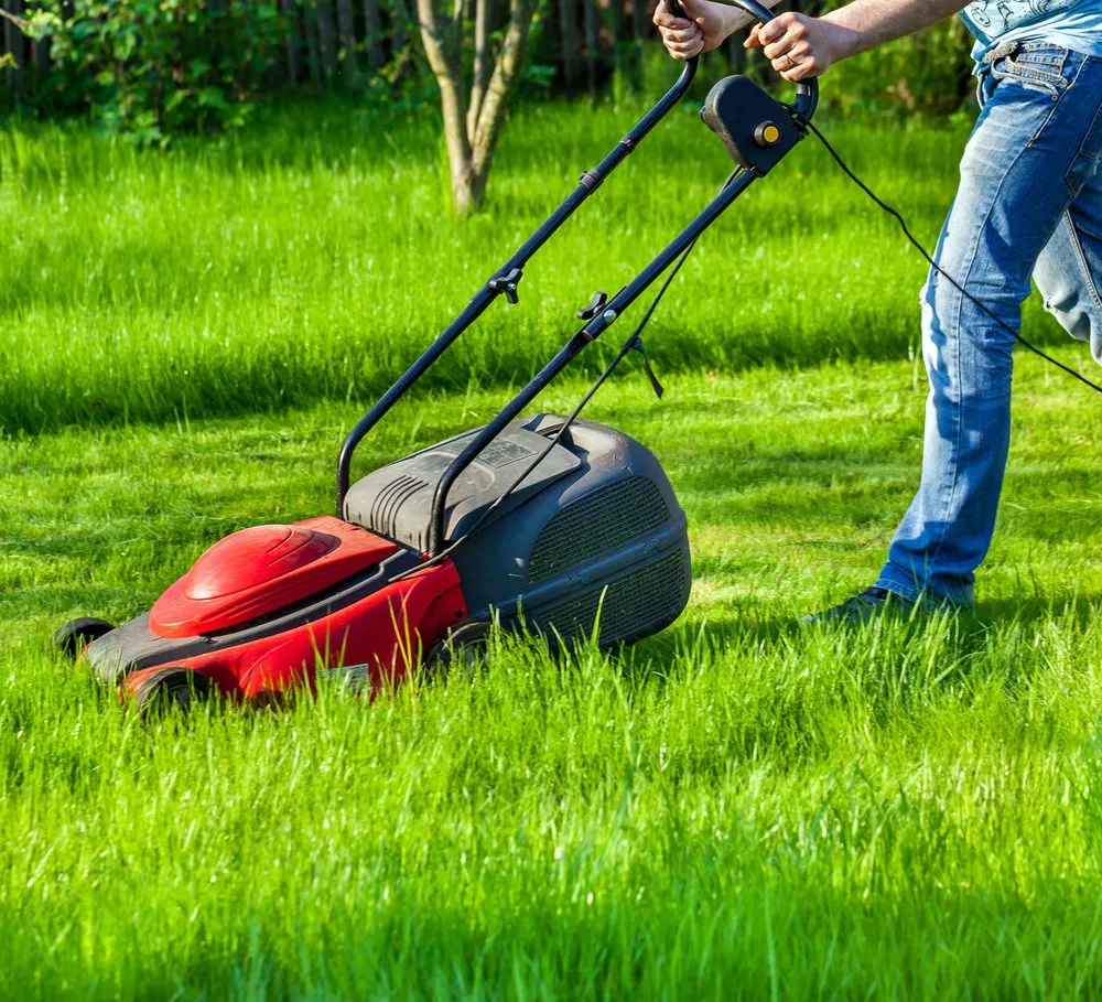 Expert garden landscaping in La Grange, NC - Pop Pops Lawn Care
