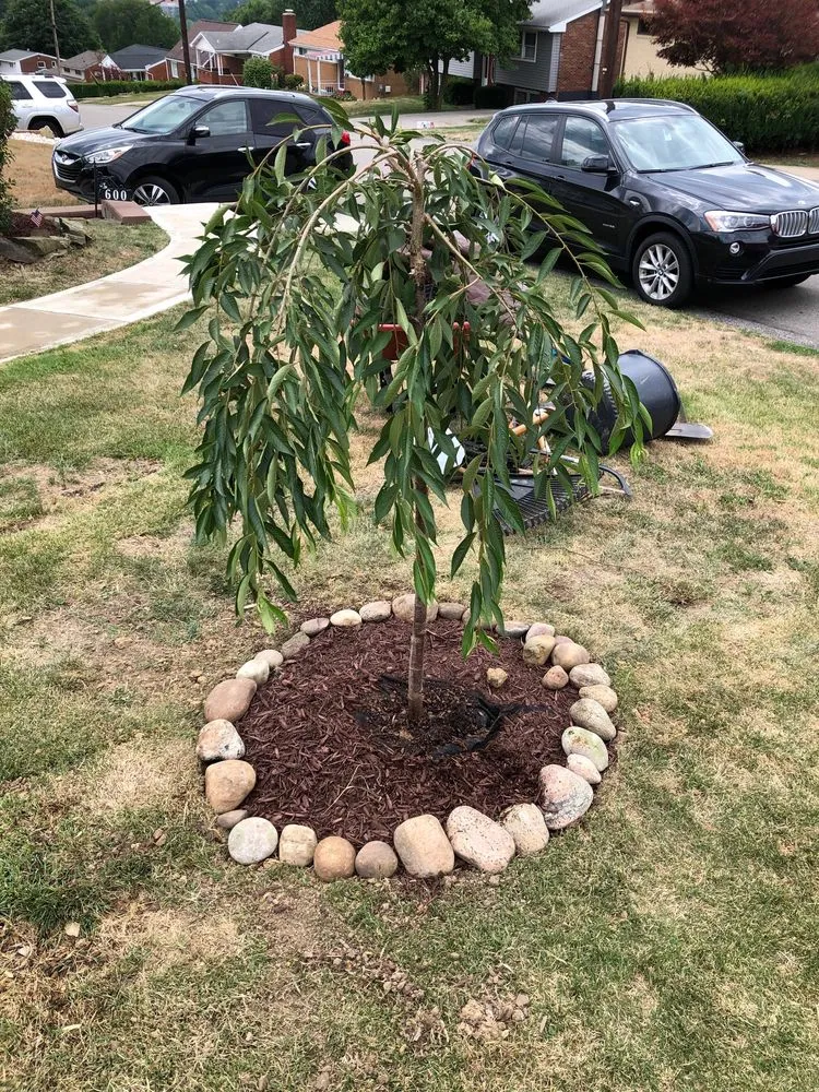 Local yard maintenance for outdoor upgrades across Bridgeville, PA - Pope Landscaping