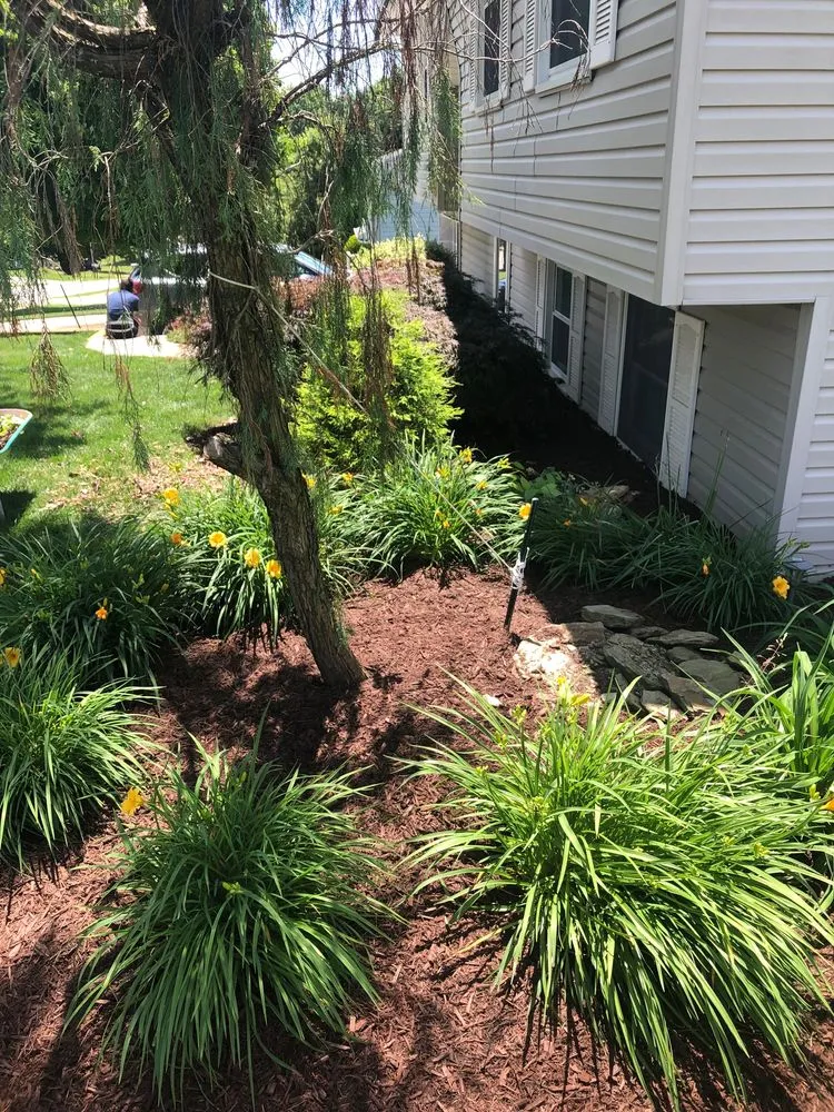 Expert yard maintenance experts serving Bridgeville, PA - Pope Landscaping