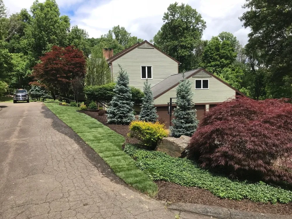 Local yard cleanup service near you across Woodbridge, CT - POPEL Landscaping and Design