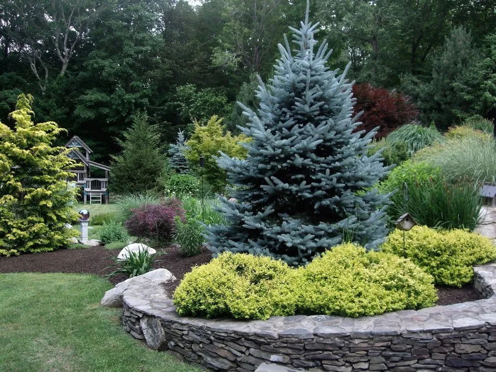 Reliable outdoor landscaping for beautiful yards across Woodbridge, CT - POPEL Landscaping and Design