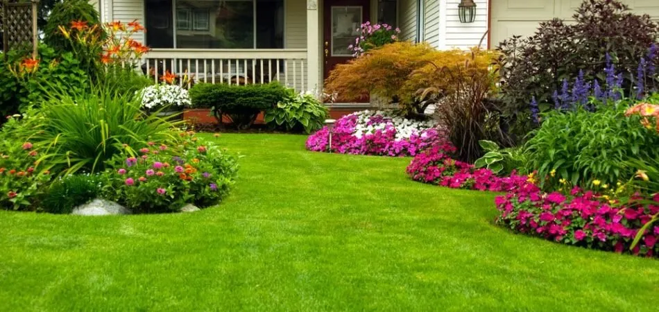 Affordable outdoor landscaping experts serving West Jordan, UT - Popeye Strong Turf & Tree