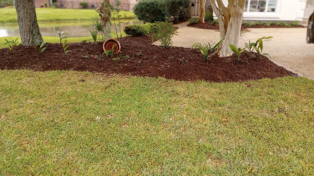 Expert yard cleanup service in Baton Rouge, LA by Popeye's Landscape
