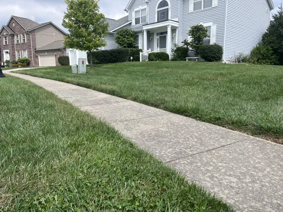 Trusted lawn mowing service in Indianapolis, IN - Popeye’s Mowing