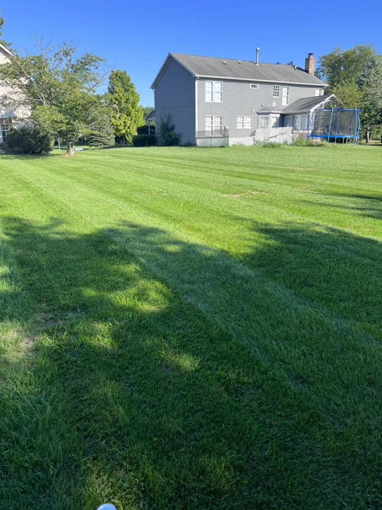 Local yard cleanup service in Indianapolis, IN - Popeye’s Mowing