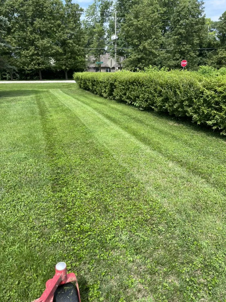 Local residential landscaping in Indianapolis, IN - Popeye’s Mowing