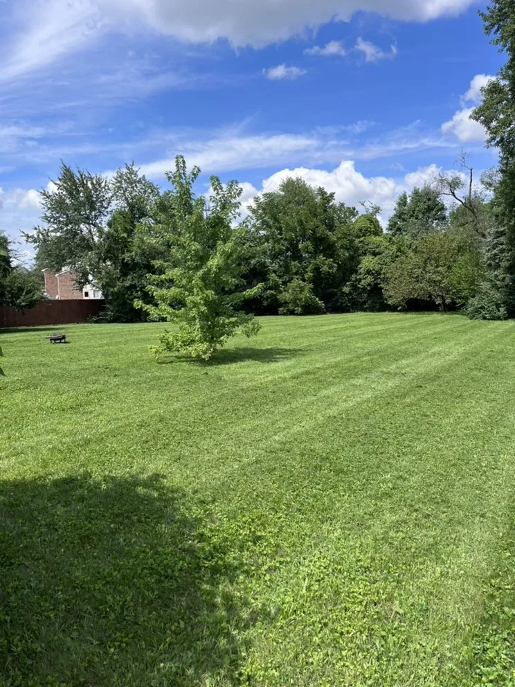 Trusted yard cleanup service experts serving Indianapolis, IN - Popeye’s Mowing