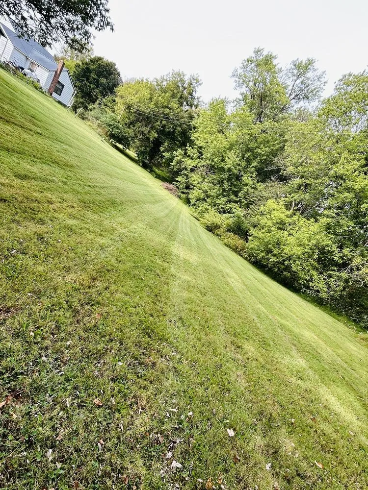 Professional yard cleanup service in Cookeville, TN - Poplar Lawn Care