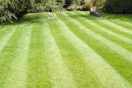 Reliable lawn care service in Cookeville, TN by Poplar Lawn Care