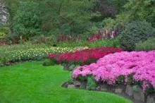 Trusted landscape installation in Nashville, TN by Poplar Springs