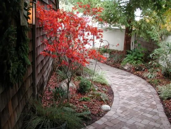 Professional residential landscaping in Nashville, TN by Poplar Springs